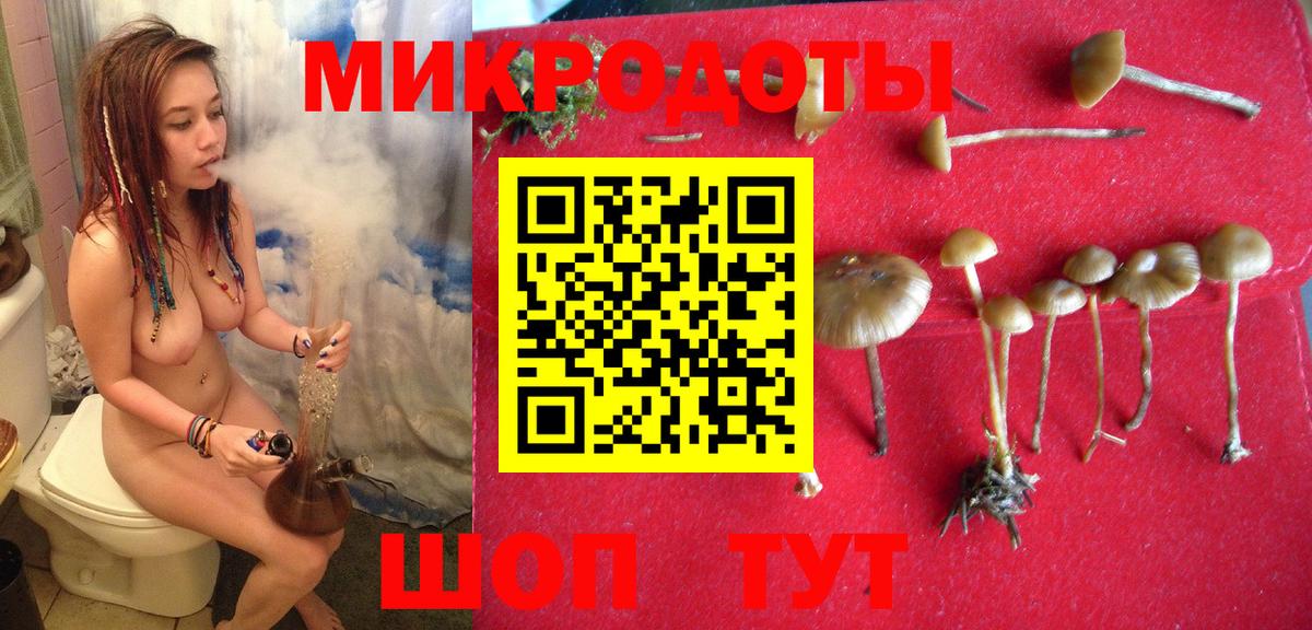 Псилоцибиновые грибы Magic Shrooms  Вход с VPN  Омск 